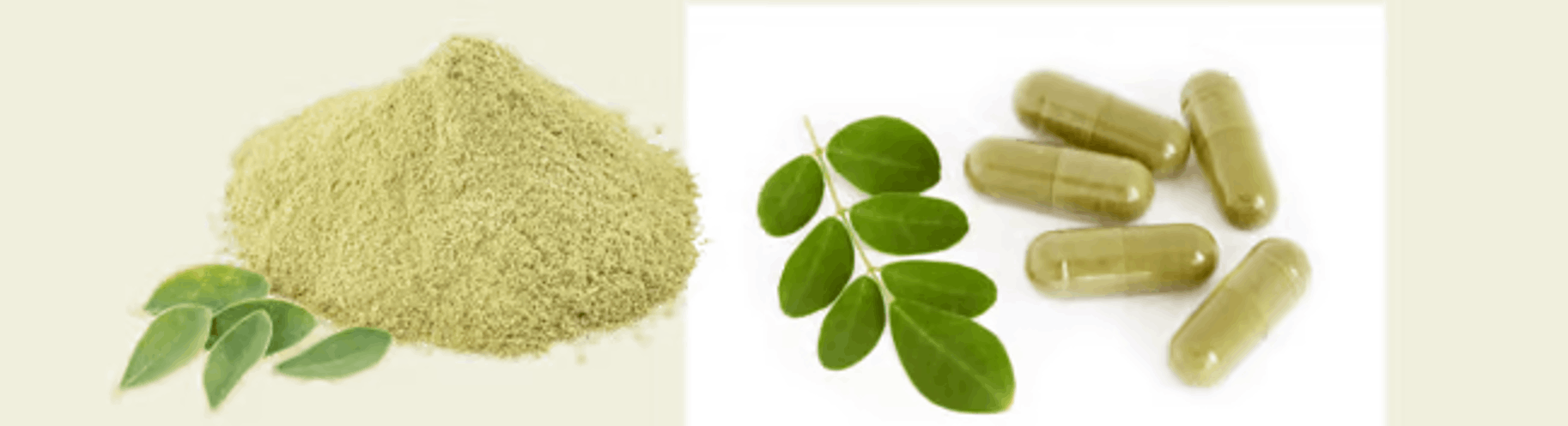 Moringa Magic Pills